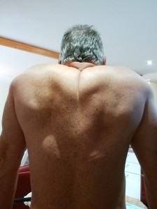 Scapula Dips - Scapula Rounded Over