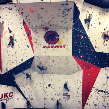 British Lead and Speed Climbing Championships